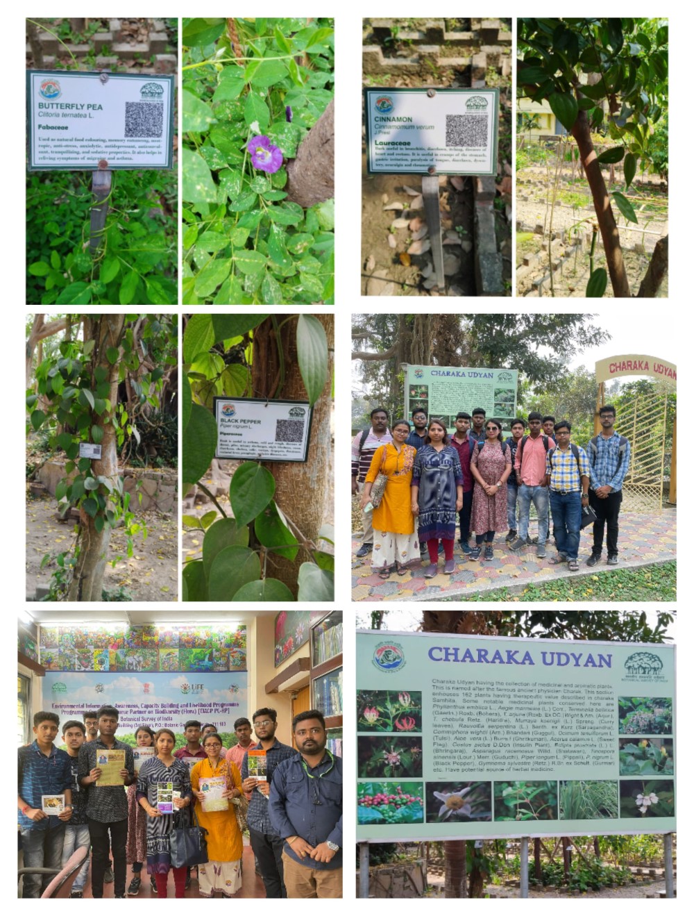 A Pharmacognosy Field Visit to Botanical Garden