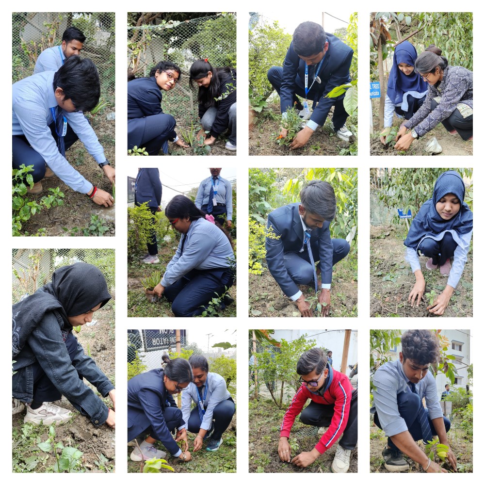 Tree Plantation Programme 2026