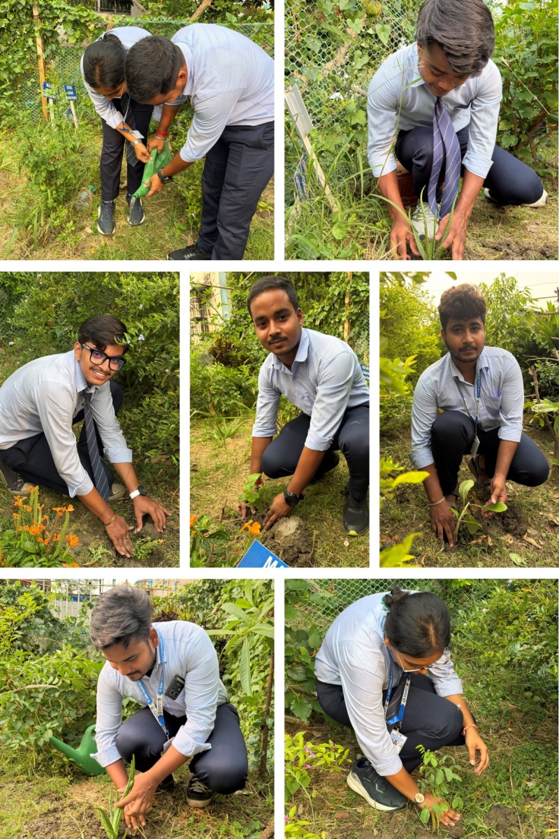World Environment Day celebration